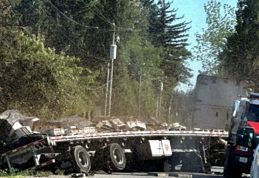 FOTO: FB/WHATCOM COUNTY SHERIFF'S OFFICE