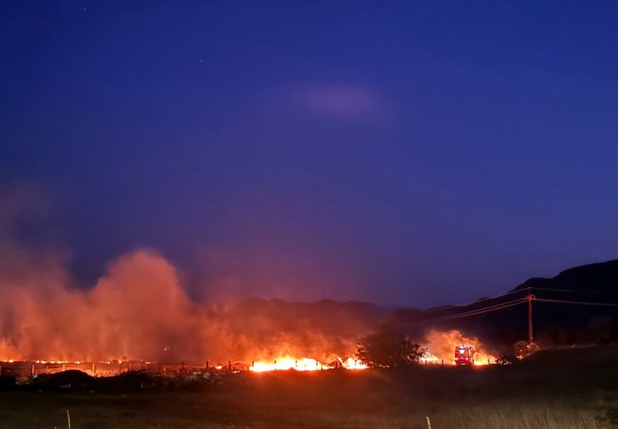 FOTO: RTV CRNE GORE