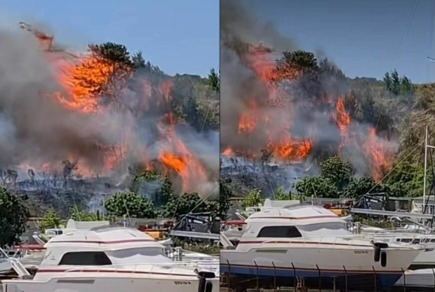 FOTO: SCREENSHOT/ DALMACIJA DANAS