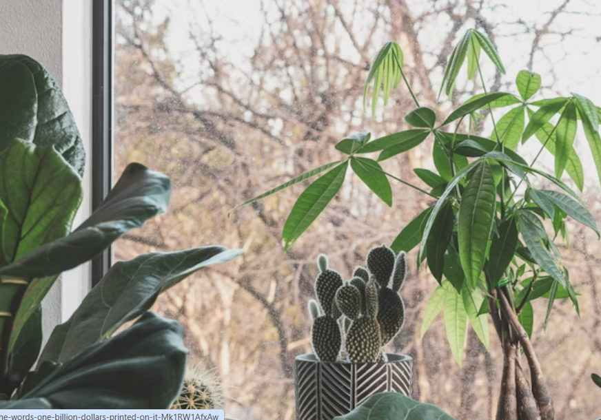 FOTO: UNSPLASH