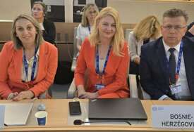 Delegacija BiH na zasjedanju Međunarodne konferencije rada u Ženevi