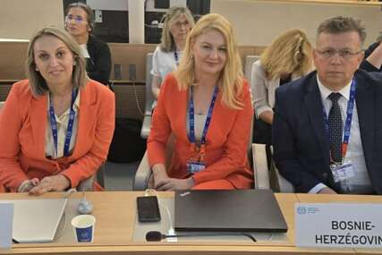 Delegacija BiH na zasjedanju Međunarodne konferencije rada u Ženevi