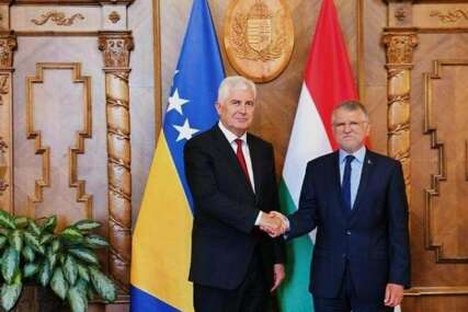 Čović sa predsjednikom mađarskog parlamenta Koverom: Ustavna jednakopravnost temelj stabilnosti i evropske budućnosti BiH