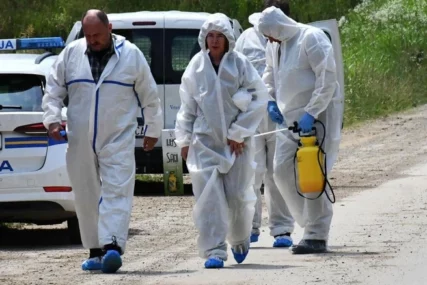 Hrvatska: Počela masovna eutanazija svinja, seljaci ogorčeni
