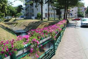 FOTO: E. MURČAEVIĆ