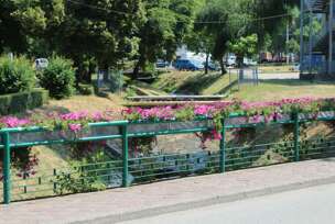 FOTO: E. MURČAEVIĆ