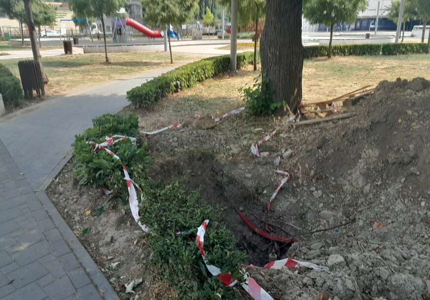 FOTO: ESET MURAČEVIĆ
