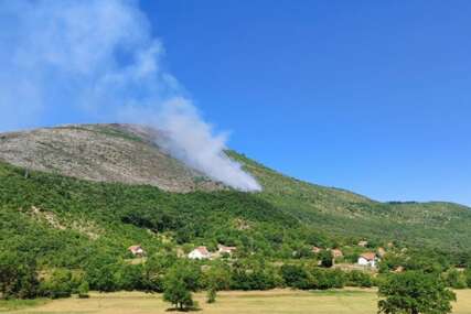 Požar u mjestu Јasen kod Trebinja pod kontrolom