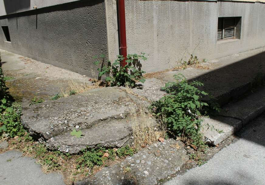 FOTO: E. MURAČEVIĆ