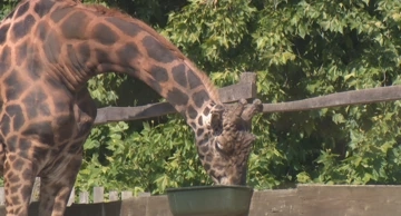 Djeca uče uz životinje u ZOO vrtu