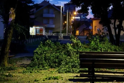 Dio Hrvatske pogodilo nevrijeme: Vjetar čupao i lomio stabla