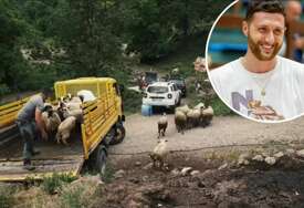Jusuf Nurkić kupio ovce porodici iz Foče nakon što su im vukovi pobili cijelo stado
