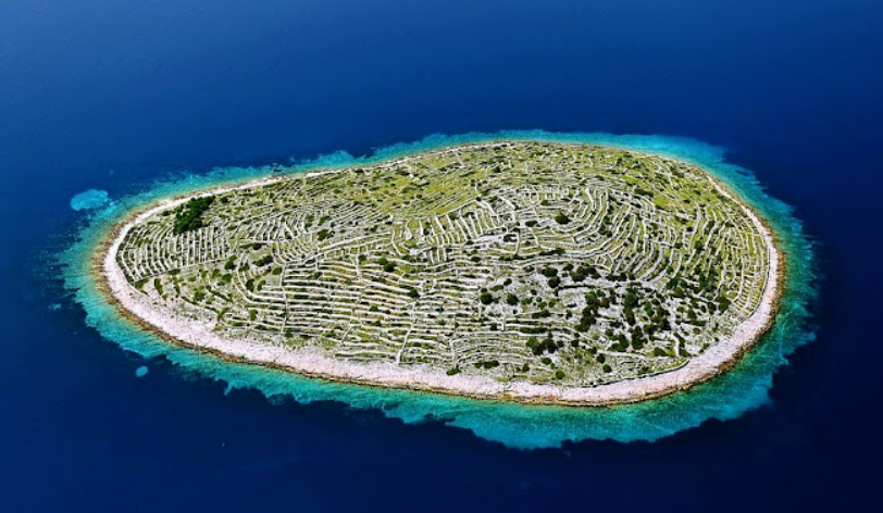 FOTO: WIKIPEDIA