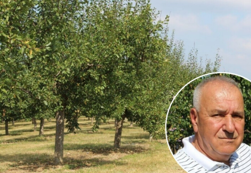FOTO: VEDRAN STAPIĆ 