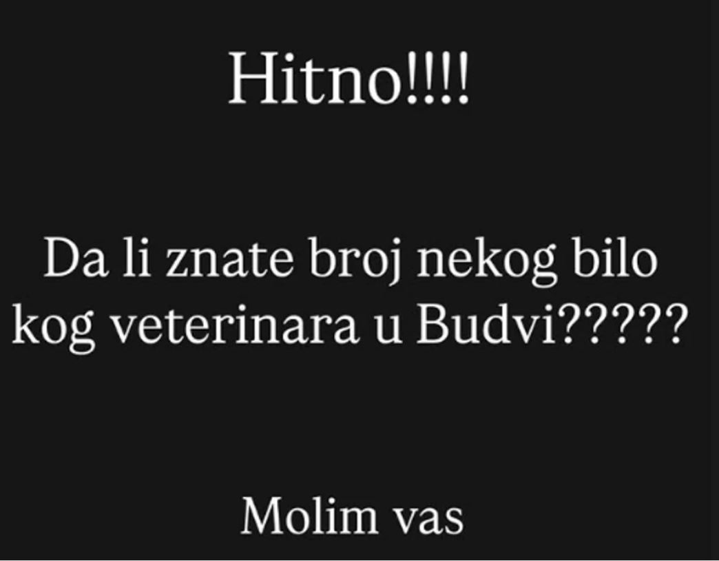 FOTO: INSTAGRAM