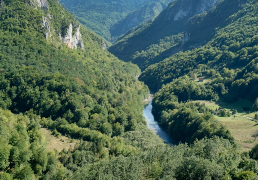 FOTO: UNSPLASH