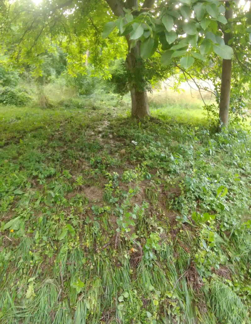 FOTO: E. MURAČEVIĆ