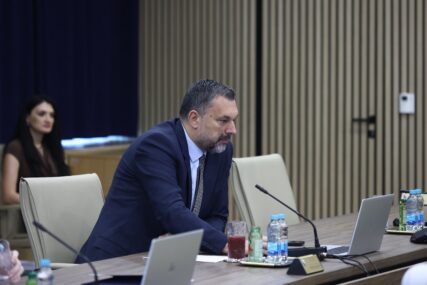 Konaković u Parizu na Odboru za monitoring Parlamentarne skupštine Vijeća Evrope