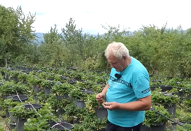 "Svi se uhvatili olovke, niko da radi" Penzioner ispričao kako radi 30 poslova (VIDEO)