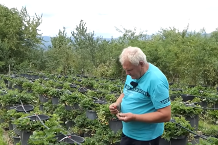 "Svi se uhvatili olovke, niko da radi" Penzioner ispričao kako radi 30 poslova (VIDEO)