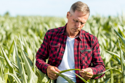 Problemi farmera u Bosni i Hercegovini: Skupa sjetva - slaba žetva (VIDEO)