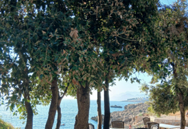Crna Gora: Turistkinja iz Sjeverne Makedonije preminula na plaži