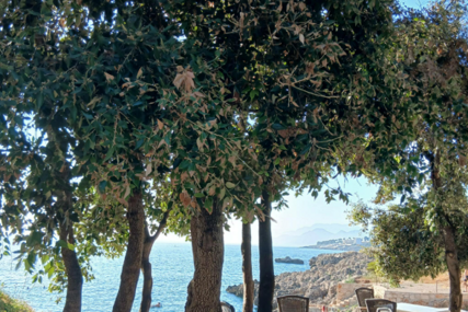 Crna Gora: Turistkinja iz Sjeverne Makedonije preminula na plaži