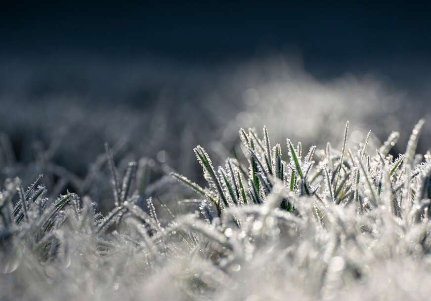 FOTO: PIXABAY