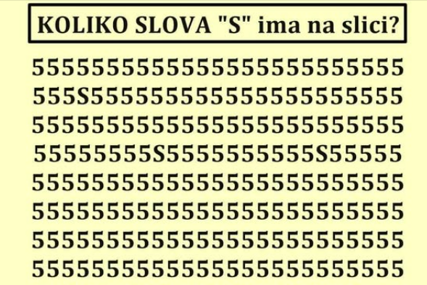 Mozgalica koja otkriva vaš IQ: Pronađite sva slova S na slici i dokažite koliko ste inteligentni