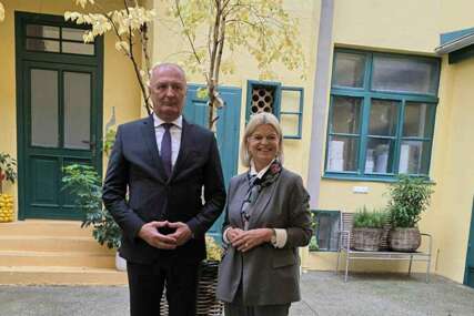 Helez u službenoj posjeti Austriji: Snažno prijateljstvo i partnerstvo BiH i Austrije