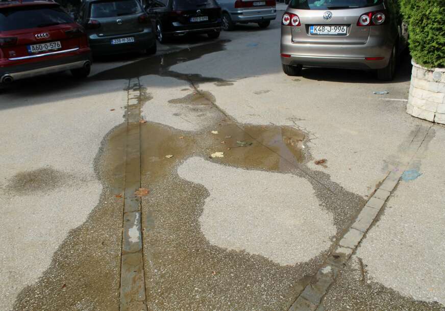 FOTO: ESET MURAČEVIĆ