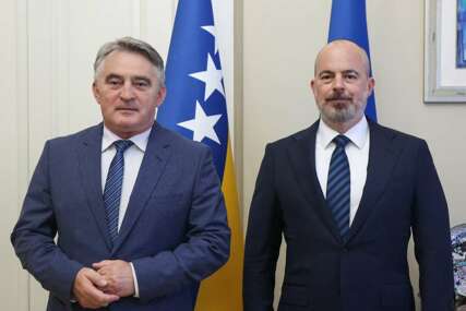 Komšić i Ginkel o unapređenju saradnje BiH i SAD-a
