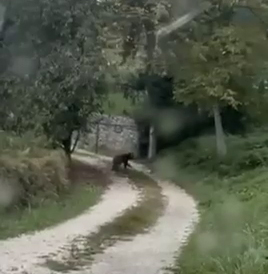 FOTO: ESET MURAČEVIĆ