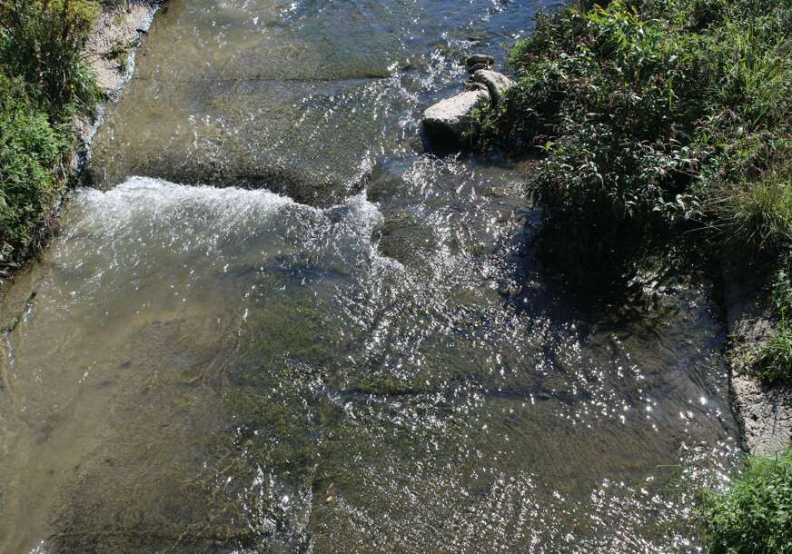 FOTO: E. MURAČEVIĆ