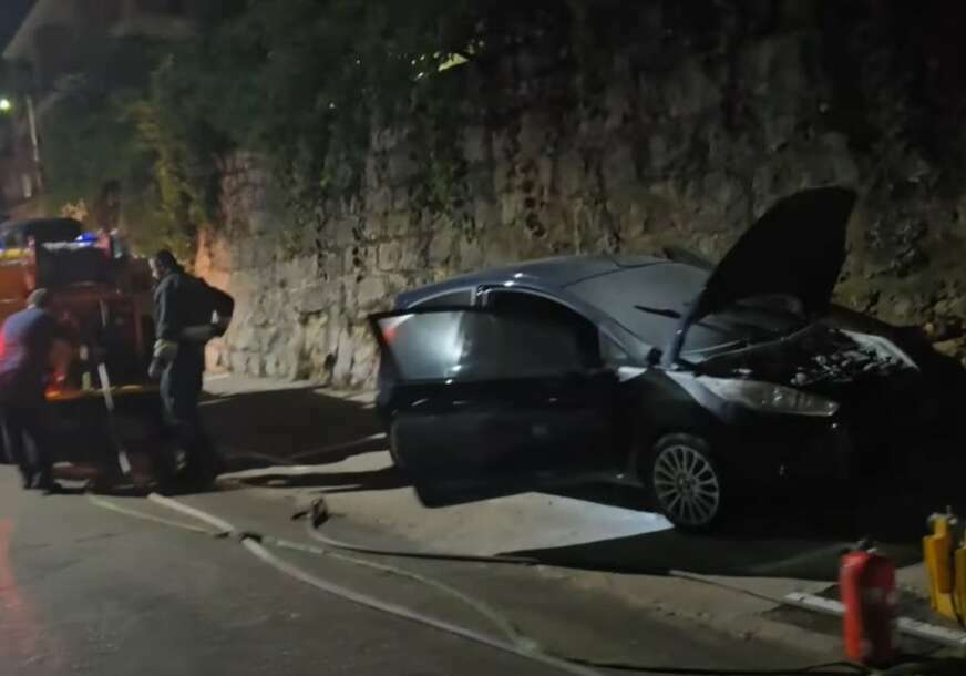 FOTO: NEBOJŠA VUKANOVIĆ/YOUTUBE/SCREENSHOT