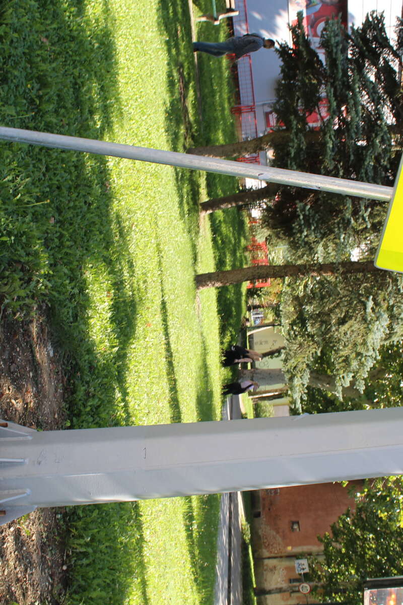 FOTO:  E.MURAČEVIĆ