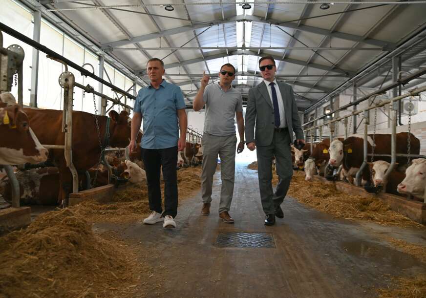 FOTO: VLADE FBIH