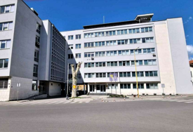 Određen jednomjesečni pritvor Amelu Muharemagiću