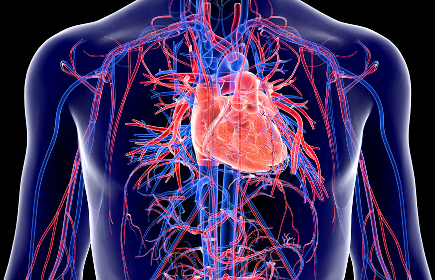 FOTO: SHUTTERSTOCK