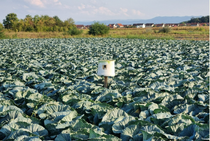 FOTO: MUSTAFA GRADAŠČEVIĆ
