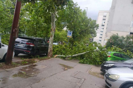 Mostar zahvalio službama i građanima na uklanjanju posljedica nevremena