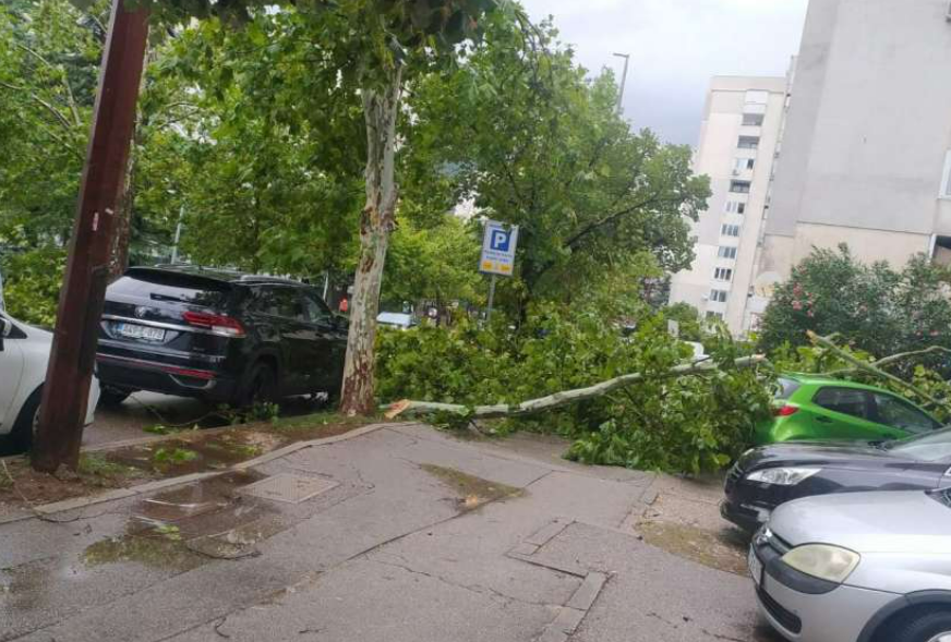 FOTO: IVANA BANOVIĆ/NEVENKA ROGIĆ
