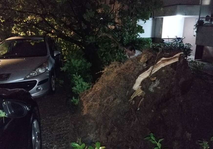 FOTO: MARIO OBRDALJ