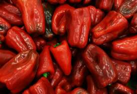 Alarm zbog paprika iz Albanije: Uništeno 14,7 tona, pesticid bio čak 44 puta iznad dozvoljene granice
