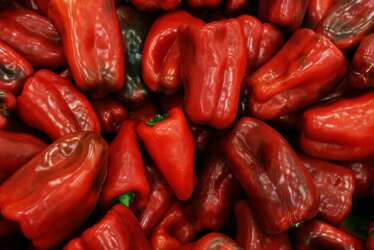Alarm zbog paprika iz Albanije: Uništeno 14,7 tona, pesticid bio čak 44 puta iznad dozvoljene granice