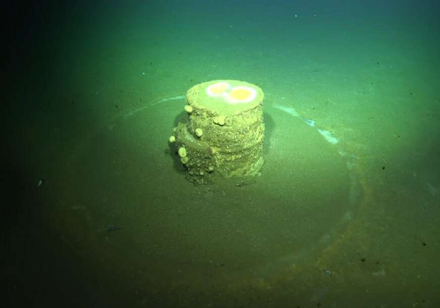 FOTO: SCHMIDT OCEAN INSTITUTE