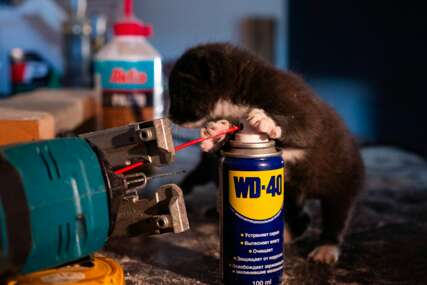 Svi koriste WD-40, a gotovo niko ne zna što znači kratica: Znate li vi?