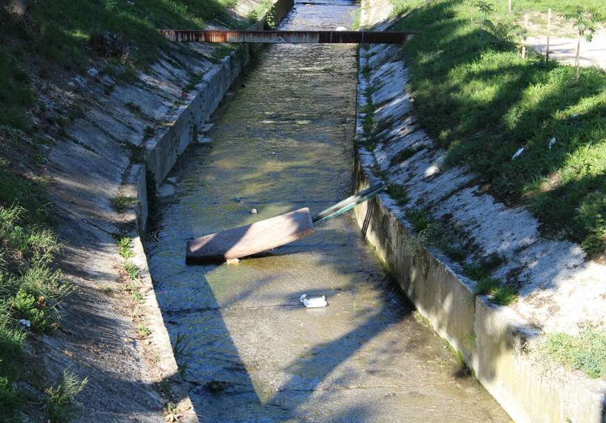 FOTO: E. MURAČEVIĆ