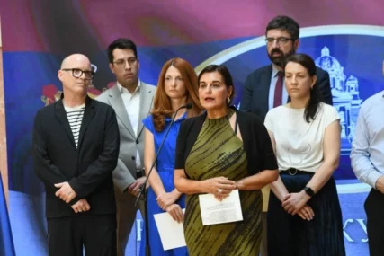 Nakon prijetnji državnog vrha: Delegacija Evropske zelene partije morala napustiti Srbiju