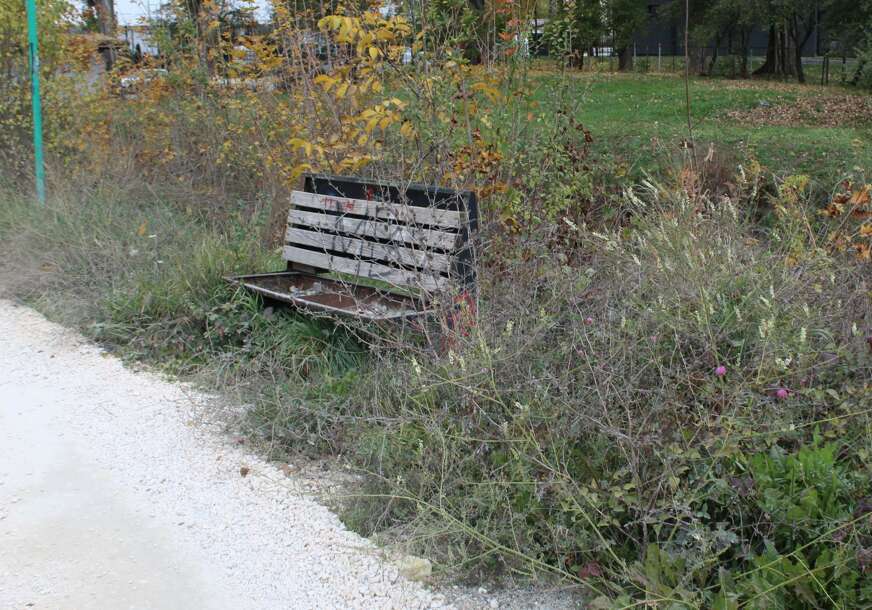 FOTO: E. MURAČEVIĆ